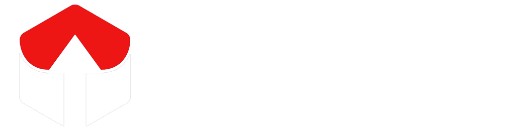Dune international elevators Logo